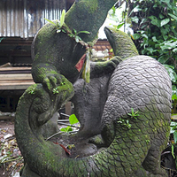 Photo de Bali - Balade, Garuda et spectacle